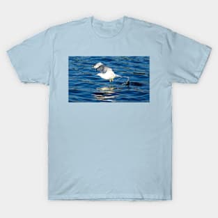 Seagulls's Takeoff T-Shirt